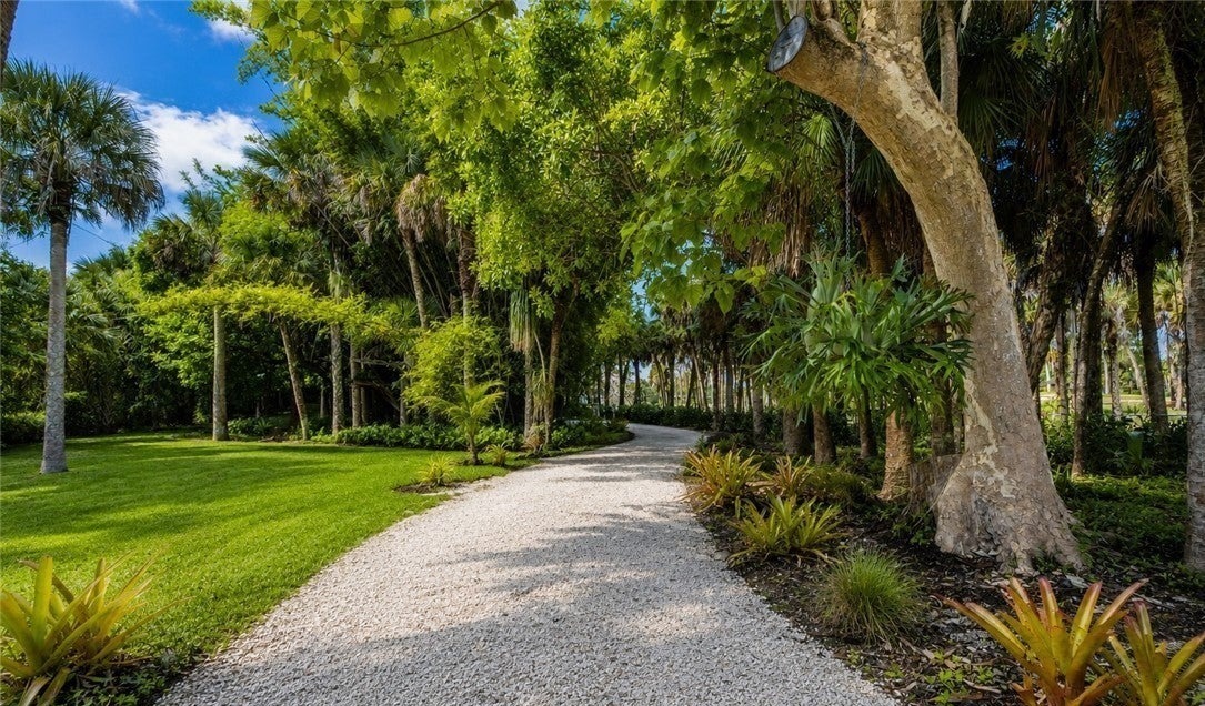 White gravel drive curving beneath a leafy canopy